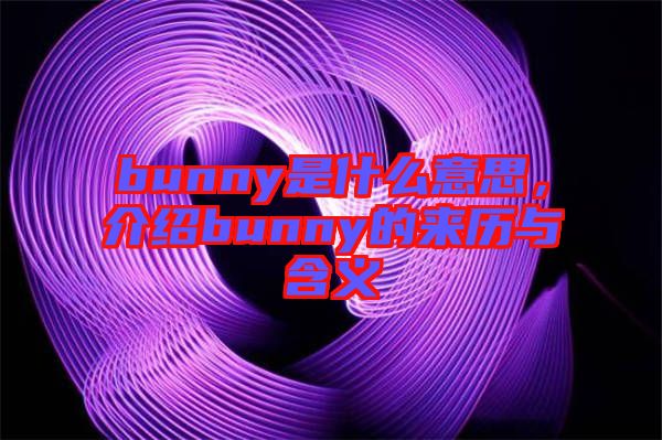 bunny是什么意思，介紹bunny的來(lái)歷與含義