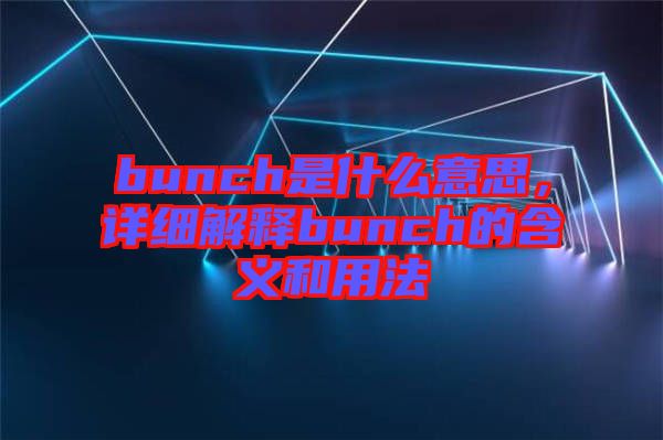 bunch是什么意思，詳細解釋bunch的含義和用法