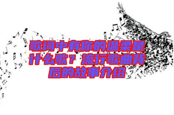 歌詞中有你的溫柔是什么歌？流行歌曲背后的故事介紹