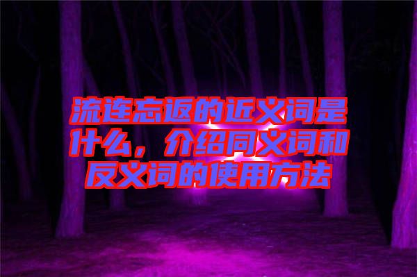 流連忘返的近義詞是什么，介紹同義詞和反義詞的使用方法