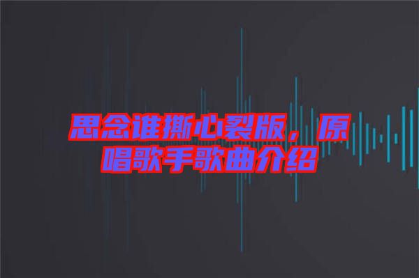 思念誰撕心裂版，原唱歌手歌曲介紹