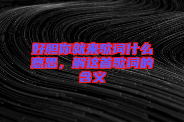 好膽你就來歌詞什么意思，解這首歌詞的含義