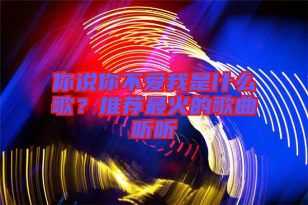 你說你不愛我是什么歌？推薦最火的歌曲聽聽