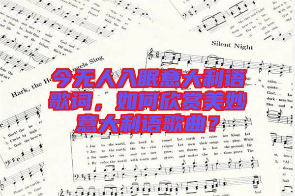 今無人入眠意大利語歌詞，如何欣賞美妙意大利語歌曲？