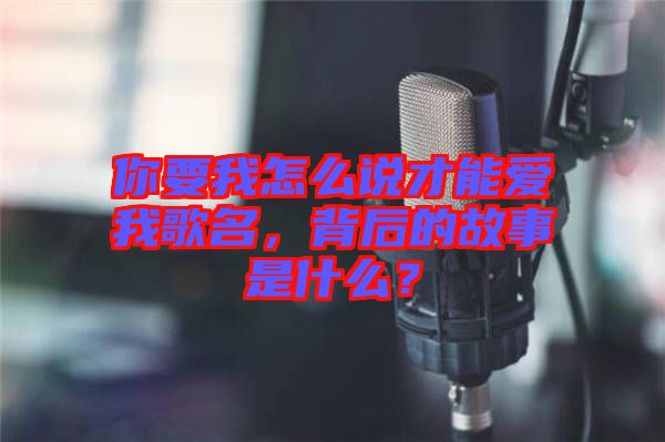 你要我怎么說(shuō)才能愛(ài)我歌名，背后的故事是什么？