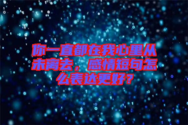 你一直都在我心里從未離去，感情短句怎么表達(dá)更好？