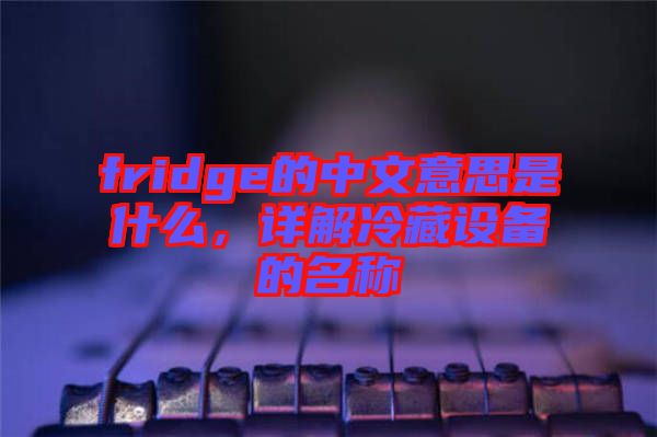 fridge的中文意思是什么，詳解冷藏設(shè)備的名稱