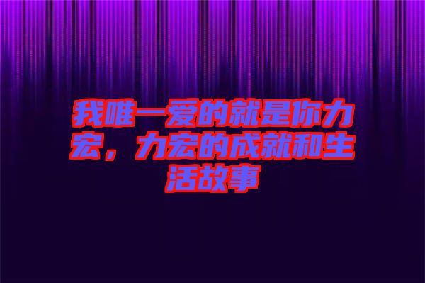 我唯一愛(ài)的就是你力宏，力宏的成就和生活故事