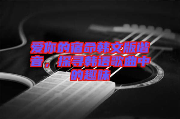 愛(ài)你的宿命韓文版諧音，探尋韓語(yǔ)歌曲中的趣味