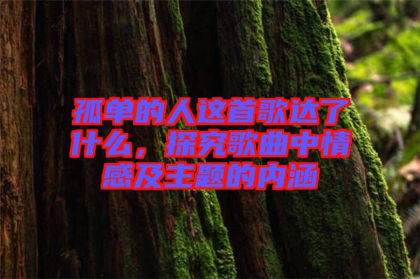 孤單的人這首歌達了什么，探究歌曲中情感及主題的內(nèi)涵