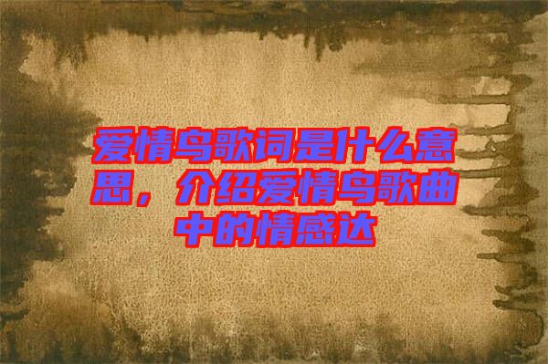 愛情鳥歌詞是什么意思，介紹愛情鳥歌曲中的情感達