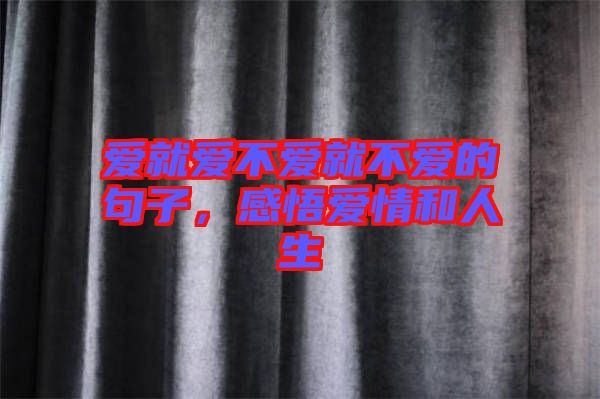 愛就愛不愛就不愛的句子，感悟愛情和人生