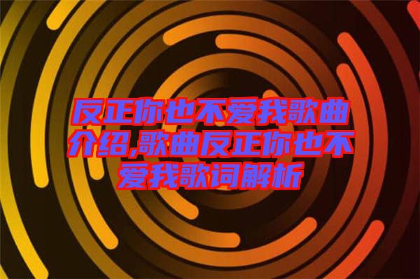 反正你也不愛我歌曲介紹,歌曲反正你也不愛我歌詞解析