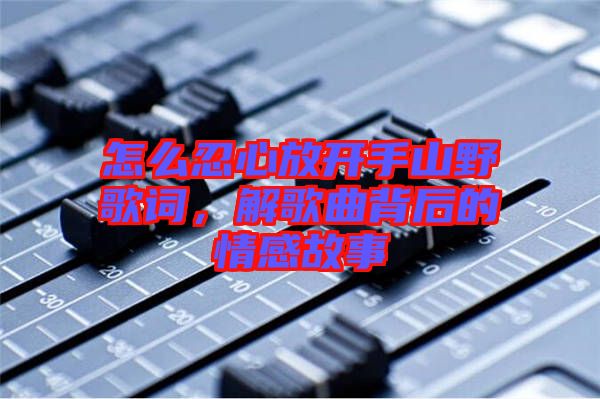 怎么忍心放開手山野歌詞，解歌曲背后的情感故事