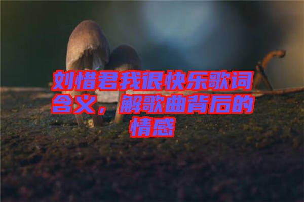 劉惜君我很快樂歌詞含義，解歌曲背后的情感