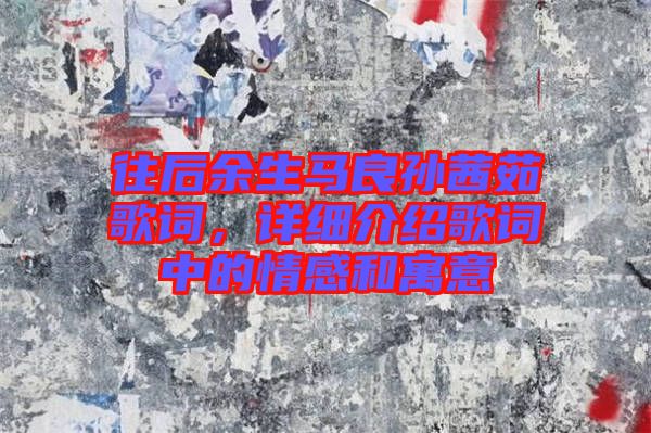 往后余生馬良孫茜茹歌詞，詳細介紹歌詞中的情感和寓意