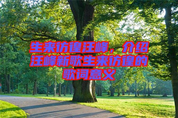 生來彷徨汪峰，介紹汪峰新歌生來彷徨的歌詞意義