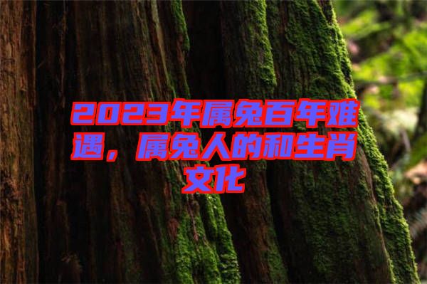 2023年屬兔百年難遇，屬兔人的和生肖文化