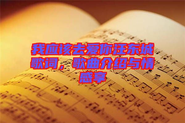 我應(yīng)該去愛你汪東城歌詞，歌曲介紹與情感享