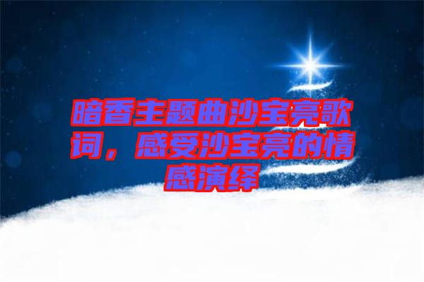 暗香主題曲沙寶亮歌詞，感受沙寶亮的情感演繹