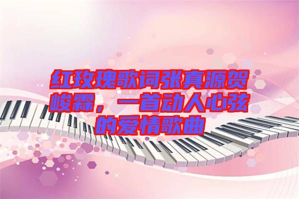 紅玫瑰歌詞張真源賀峻霖，一首動(dòng)人心弦的愛情歌曲