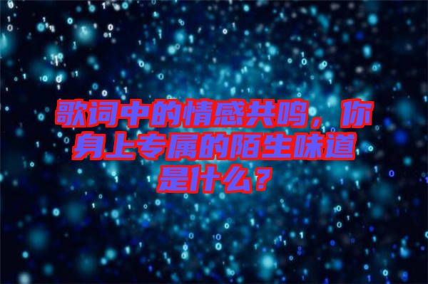 歌詞中的情感共鳴，你身上專屬的陌生味道是什么？