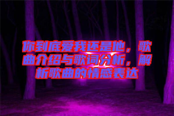 你到底愛我還是他，歌曲介紹與歌詞分析，解析歌曲的情感表達