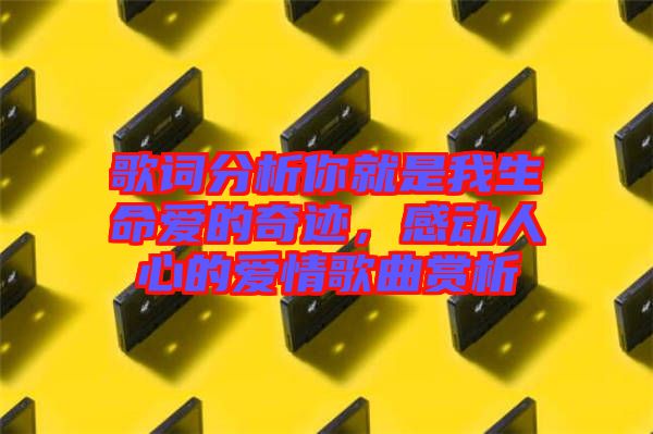 歌詞分析你就是我生命愛的奇跡，感動(dòng)人心的愛情歌曲賞析