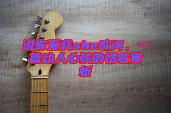 說你愛我she歌詞，一首動人心弦的情歌賞析