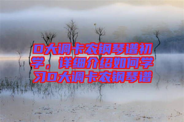 D大調(diào)卡農(nóng)鋼琴譜初學(xué)，詳細(xì)介紹如何學(xué)習(xí)D大調(diào)卡農(nóng)鋼琴譜