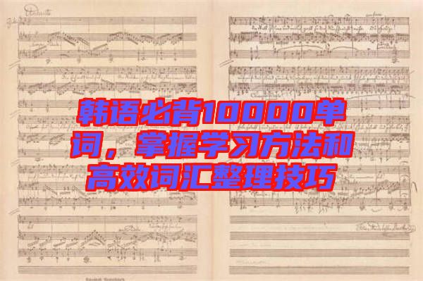 韓語必背10000單詞，掌握學(xué)習(xí)方法和高效詞匯整理技巧