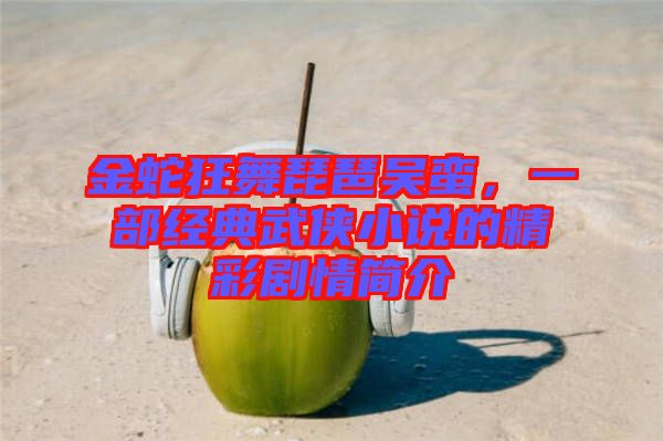 金蛇狂舞琵琶吳蠻，一部經(jīng)典武俠小說的精彩劇情簡介