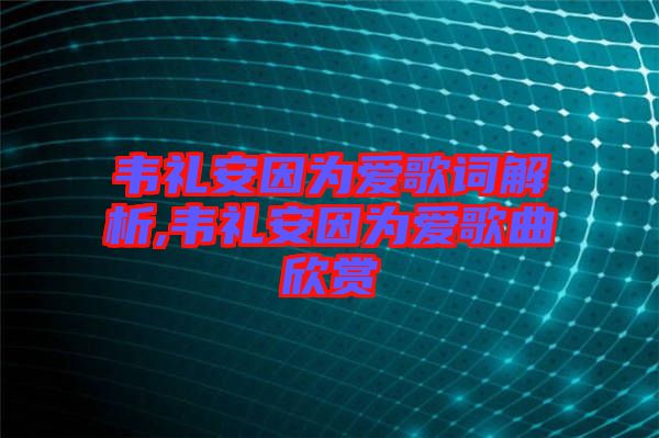 韋禮安因為愛歌詞解析,韋禮安因為愛歌曲欣賞