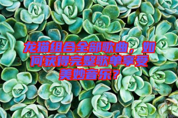 龍貓組合全部歌曲，如何獲得完整歌單享受美妙音樂？