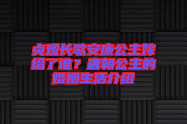 貞觀長歌安康公主嫁給了誰？唐朝公主的婚姻生活介紹