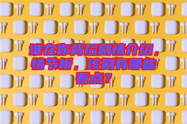 誰在你背后劇情介紹，情節(jié)析，該劇有哪些看點(diǎn)？