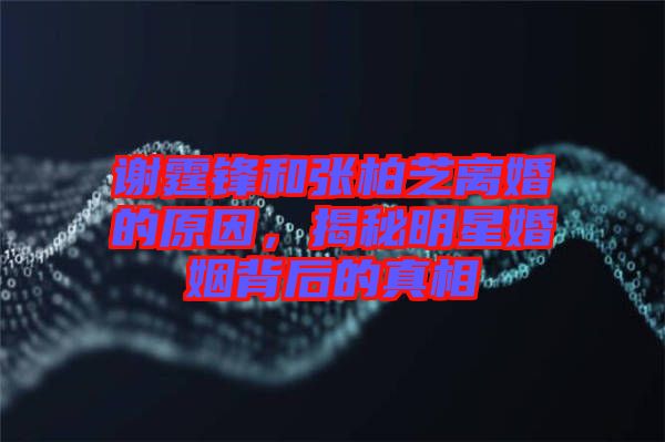 謝霆鋒和張柏芝離婚的原因，揭秘明星婚姻背后的真相