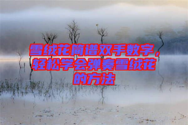 雪絨花簡譜雙手?jǐn)?shù)字，輕松學(xué)會彈奏雪絨花的方法