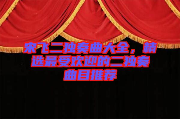 宋飛二獨奏曲大全，精選最受歡迎的二獨奏曲目推薦