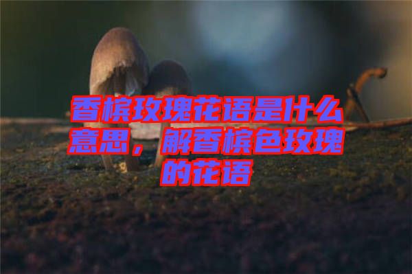 香檳玫瑰花語是什么意思，解香檳色玫瑰的花語