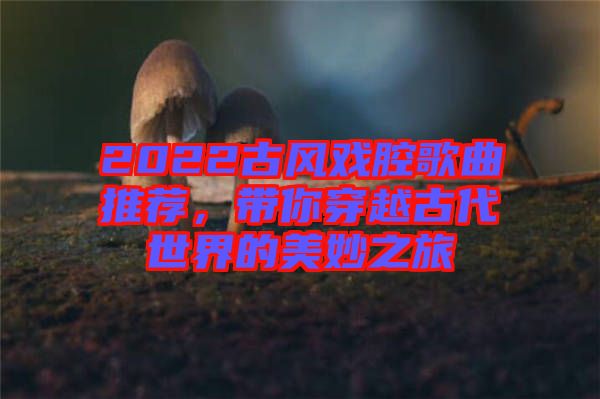 2022古風(fēng)戲腔歌曲推薦，帶你穿越古代世界的美妙之旅