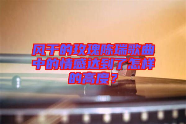 風干的玫瑰陳瑞歌曲中的情感達到了怎樣的高度？