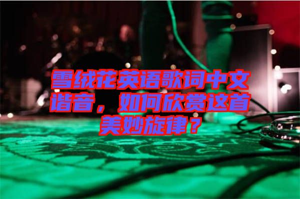 雪絨花英語歌詞中文諧音，如何欣賞這首美妙旋律？