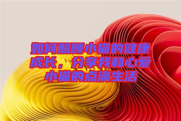 如何照顧小貓的健康成長(zhǎng)，分享我和心愛小貓的點(diǎn)滴生活