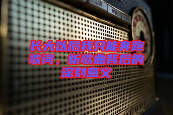 長大以后我只能奔跑歌詞，析歌曲背后的深刻意義