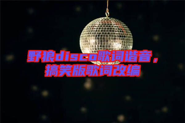 野狼disco歌詞諧音，搞笑版歌詞改編