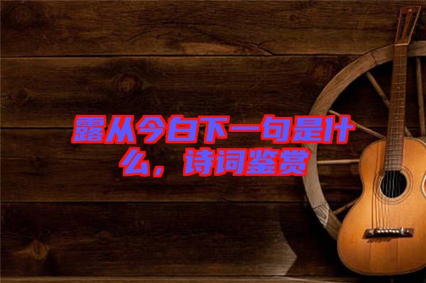 露從今白下一句是什么，詩(shī)詞鑒賞